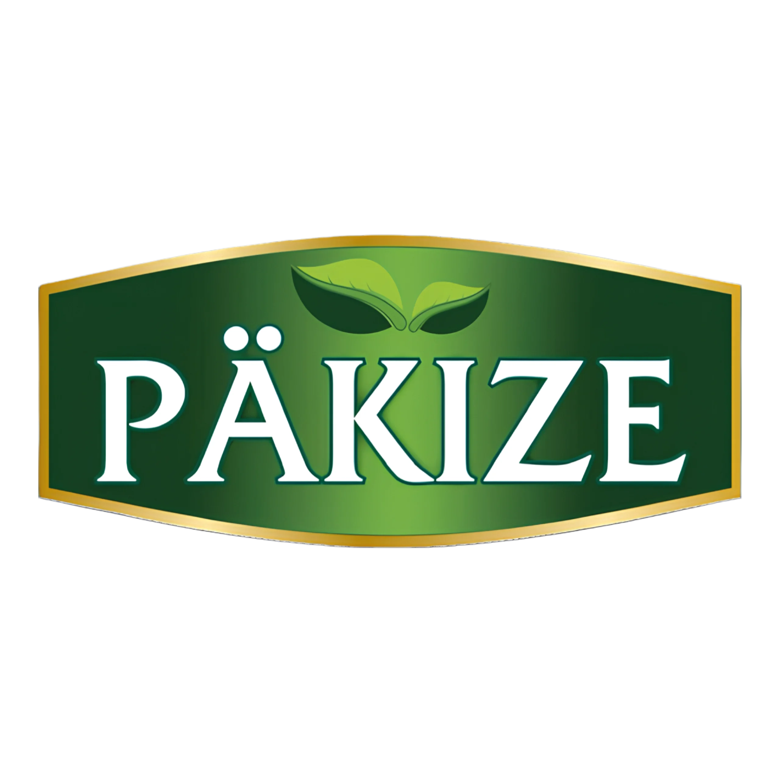 Pakize